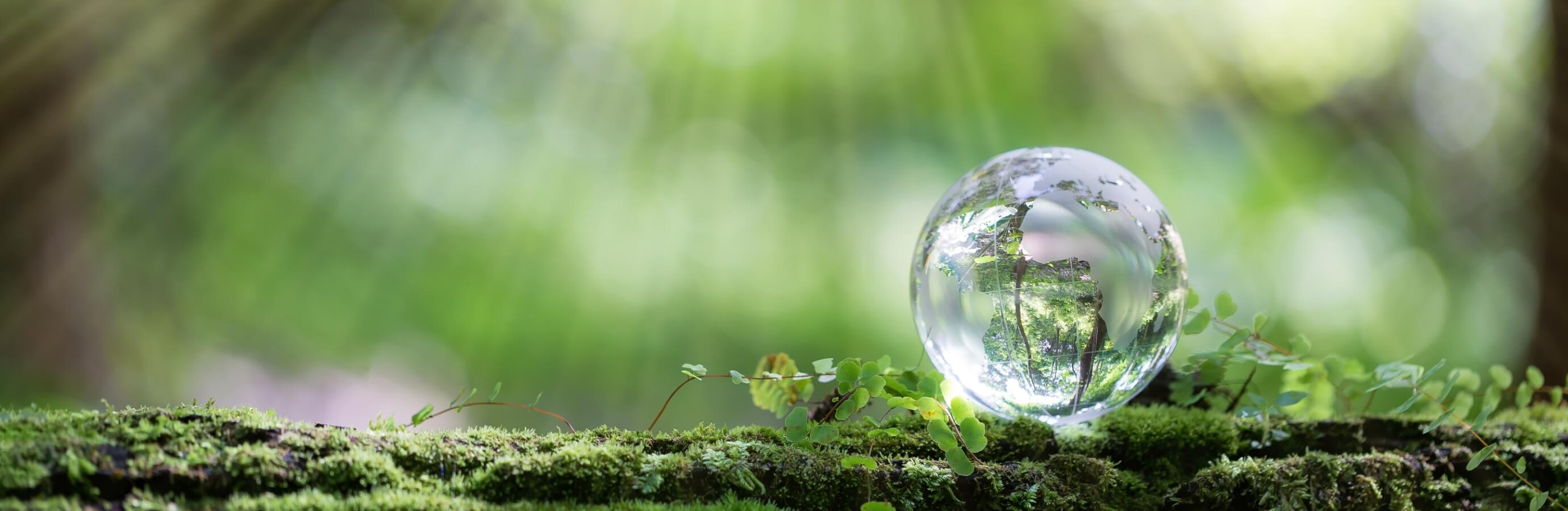 誠実で健全な事業運営