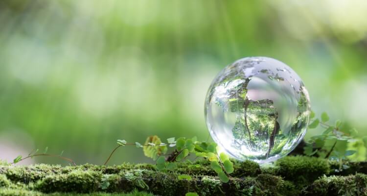 誠実で健全な事業運営