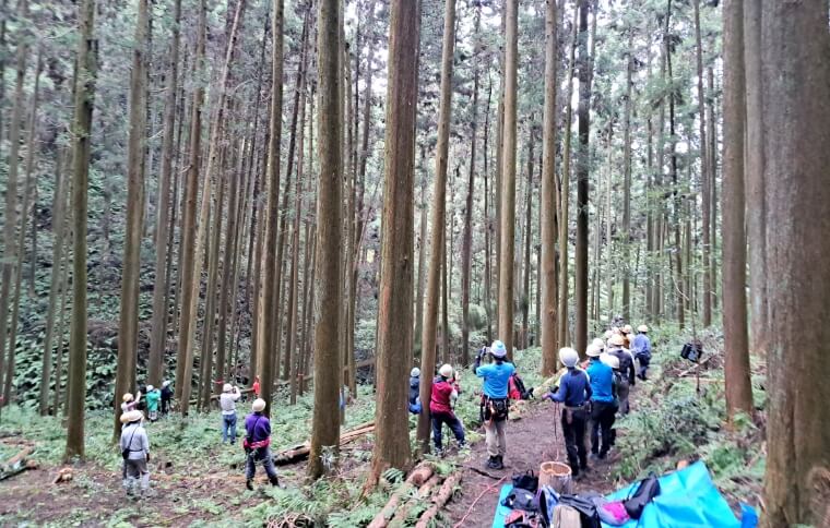 寄付活動・自然保護活動